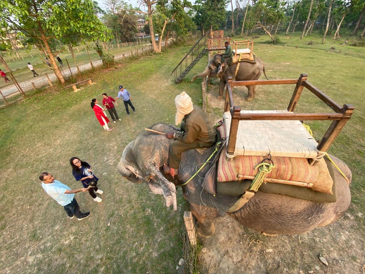 Hotel Shiva'S Dream Sauraha Buitenkant foto